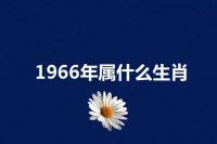 66生肖|1966年属什么生肖？